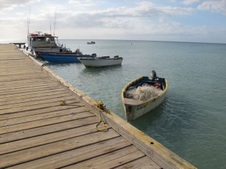 Enlarge photo 54