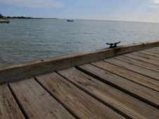 Enlarge photo 55
