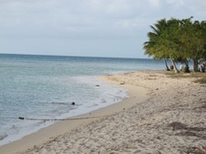 Enlarge photo 56