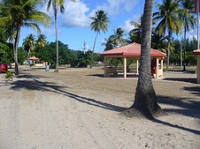 Enlarge photo 99