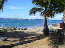 Enlarge photo 102