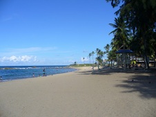 Enlarge photo 103