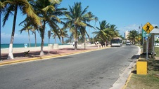 Enlarge photo 106