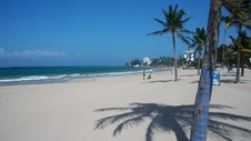 Enlarge photo 109