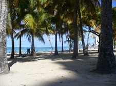 Enlarge photo 113