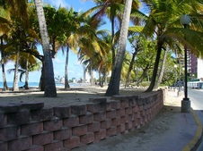 Enlarge photo 114