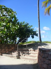 Enlarge photo 115