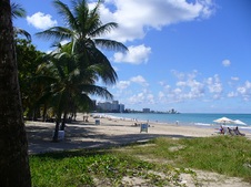 Enlarge photo 116