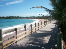 Enlarge photo 127