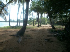 Enlarge photo 131