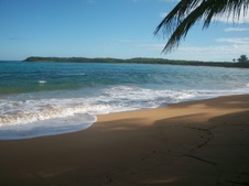 Enlarge photo 132