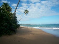 Enlarge photo 133