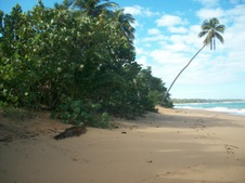 Enlarge photo 134