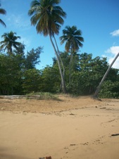 Enlarge photo 135