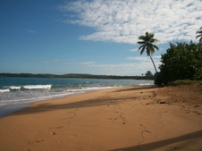 Enlarge photo 136