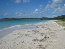 Enlarge photo 139