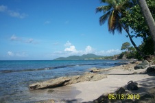 Enlarge photo 145