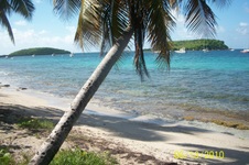 Enlarge photo 155