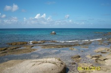 Enlarge photo 157