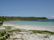 Enlarge photo 159