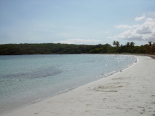 Enlarge photo 160