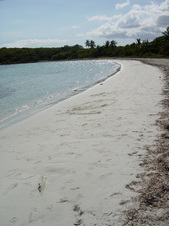 Enlarge photo 161