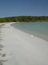 Enlarge photo 162