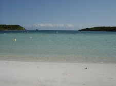 Enlarge photo 163