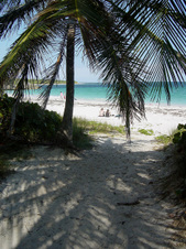Enlarge photo 164