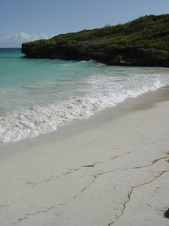 Enlarge photo 165