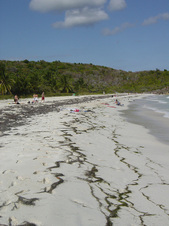 Enlarge photo 166