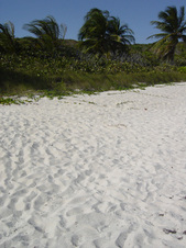 Enlarge photo 167