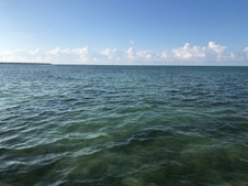 Enlarge photo 120