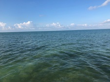 Enlarge photo 121
