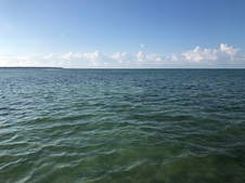 Enlarge photo 122