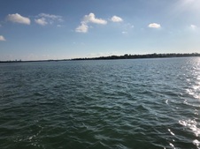 Enlarge photo 118