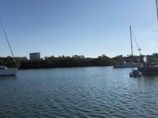 Enlarge photo 126