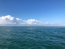 KEY BISCAYNE / BEACHES 