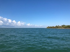Enlarge photo 37