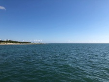 Enlarge photo 42