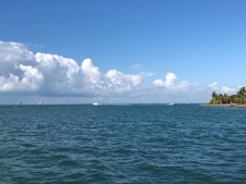 Enlarge photo 45