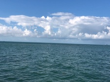 Enlarge photo 46