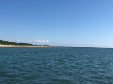 Enlarge photo 47