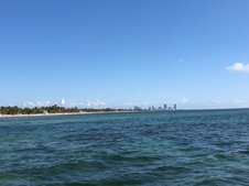 Enlarge photo 48
