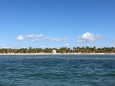 Enlarge photo 50
