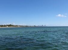 Enlarge photo 61