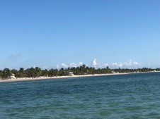 Enlarge photo 54