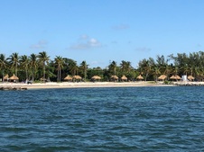 Enlarge photo 87