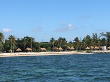 Enlarge photo 80