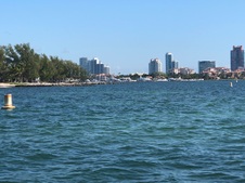 Enlarge photo 81
